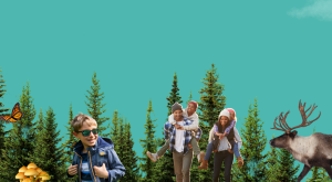 Graphic collage with children, a family and caribou with trees in background