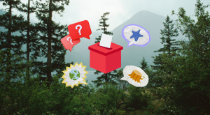 Graphic illustration with a ballot box and speech bubbles on forest image background